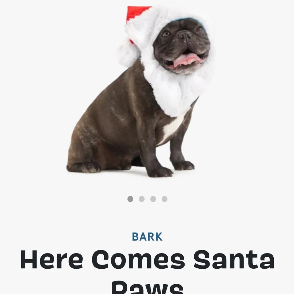LARGE Bark Christmas Santa Claus Santa Paws Dog Hat Beard Halloween Costume